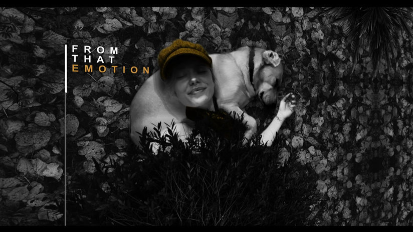 VIDEO EDIT (MOVING IMAGES)